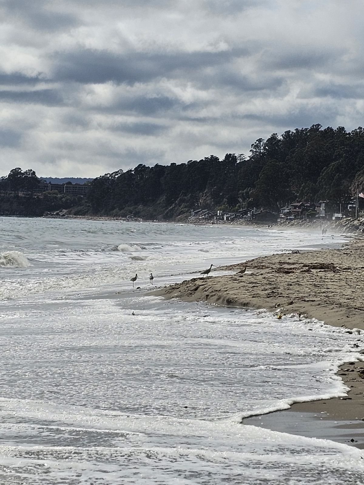 Monte Toyon retreat setting