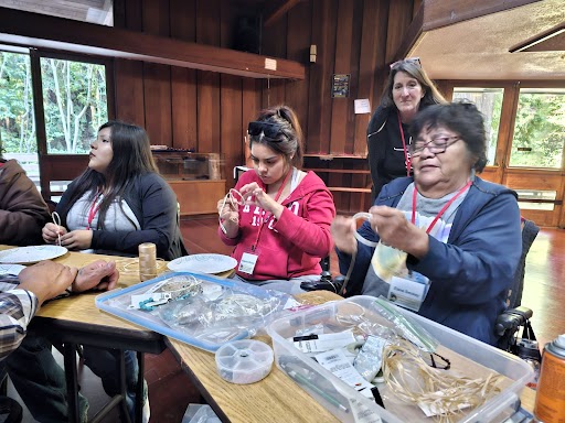 Native American cultural elements